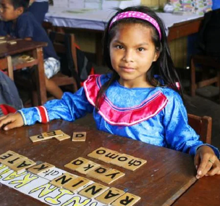 PROGRAMA DE EDUCACIÓN INTERCULTURAL BILINGUE
